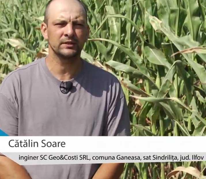 Cătălin Soare, Agricover partner from Ilfov county, on the technology applied to corn cultivation
